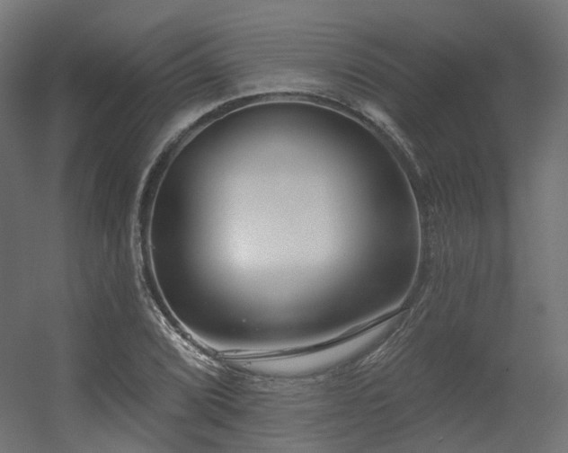 X0000056311072200509021531