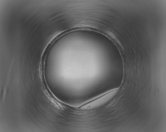 X0000056311076200509021531