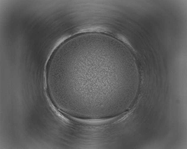 X0000056311079200509021531