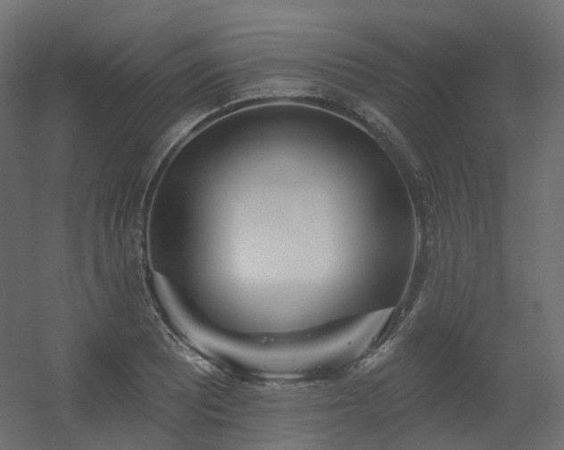 X0000056311081200509021531