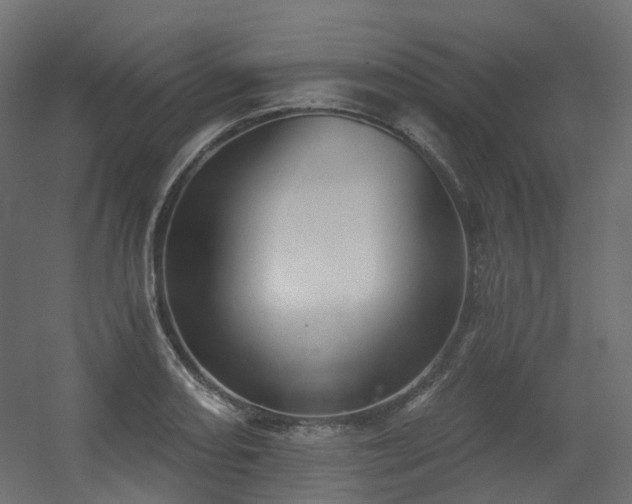 X0000056311082200509021531