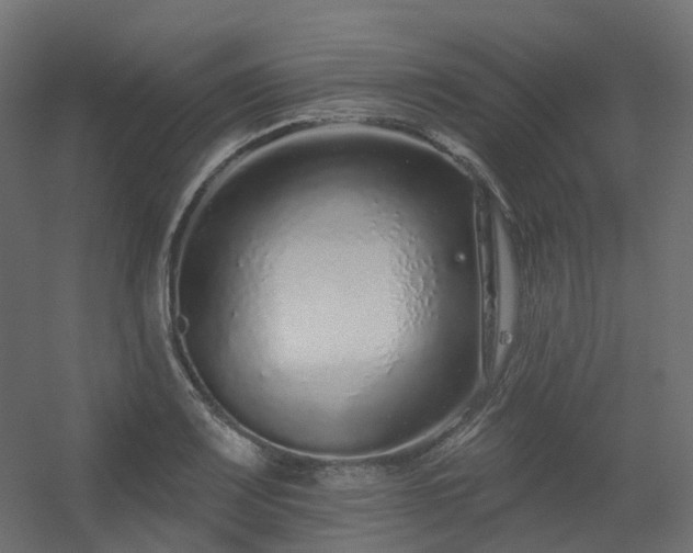X0000056311083200509021531