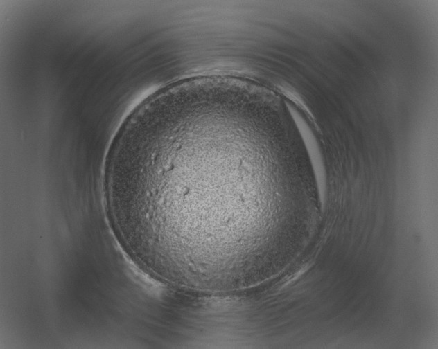 X0000056311087200509021531