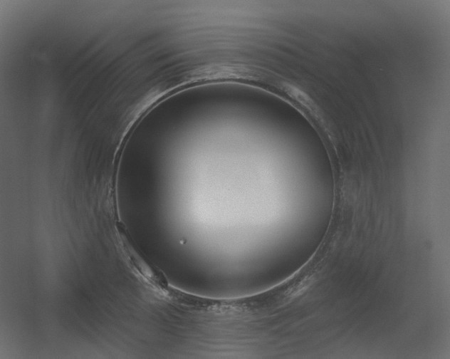 X0000056311089200509021531