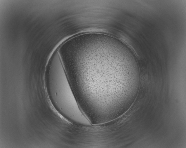 X0000056311092200509021530
