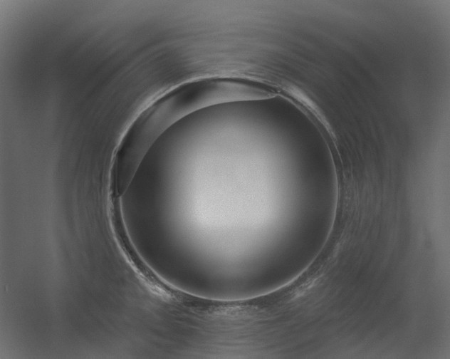 X0000056311093200509021530