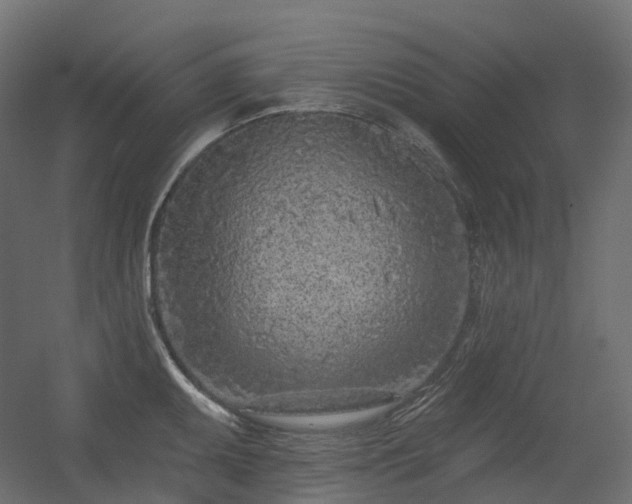 X0000056311095200509021530