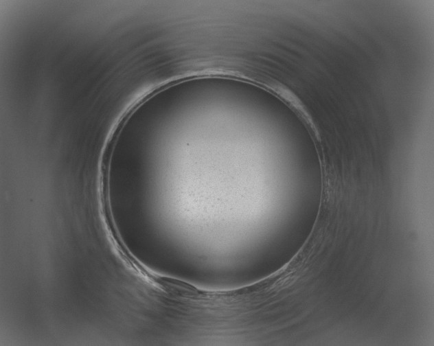 X0000056311096200509021530