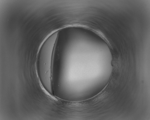 X0000056311100200509021530
