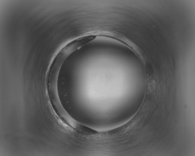 X0000056311102200509021530