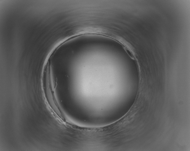 X0000056311104200509021530