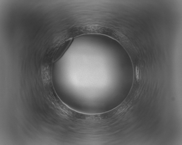 X0000056311107200509021529