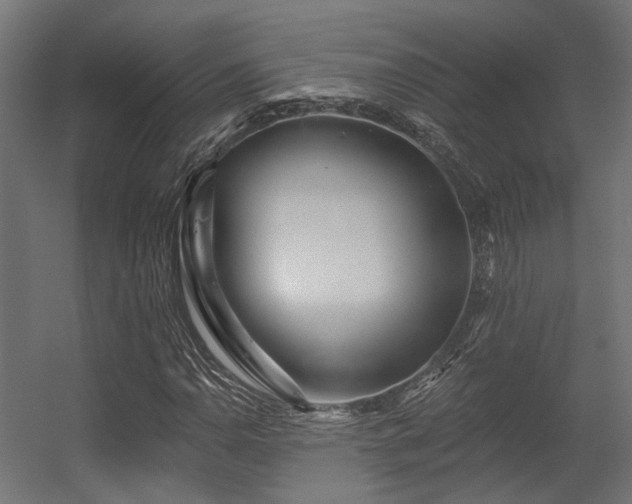 X0000056311110200509021530