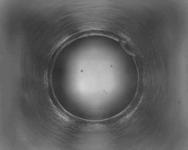 X0000056311113200509021530