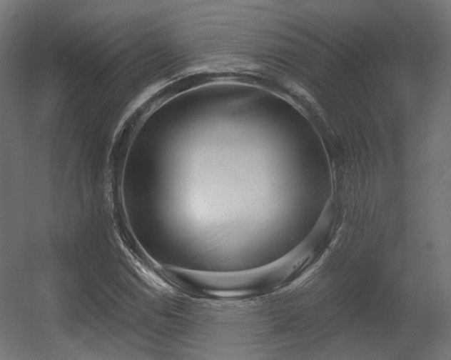 X0000056311114200509021530