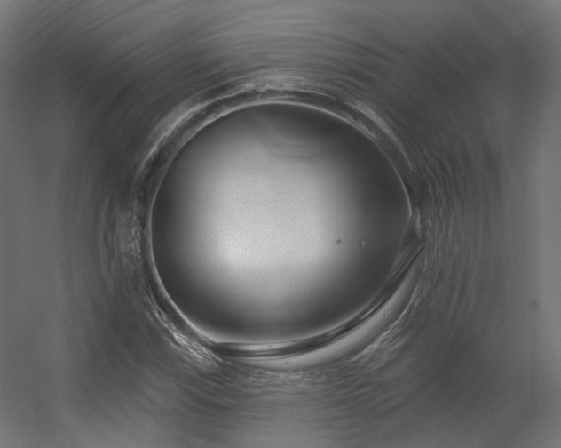 X0000056311115200509021530