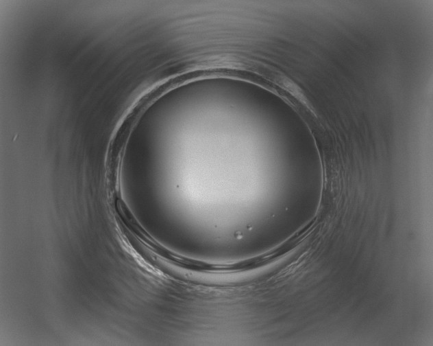X0000056311116200509021530