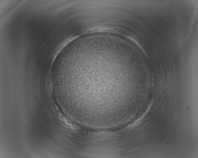 X0000056311117200509021530