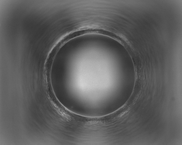 X0000056311118200509021530