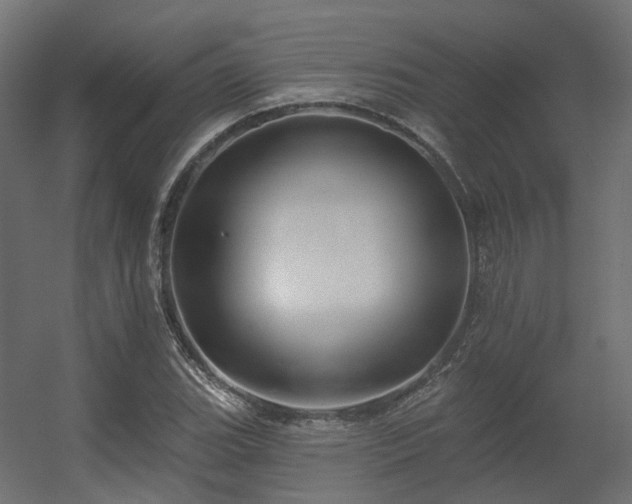 X0000056311119200509021530
