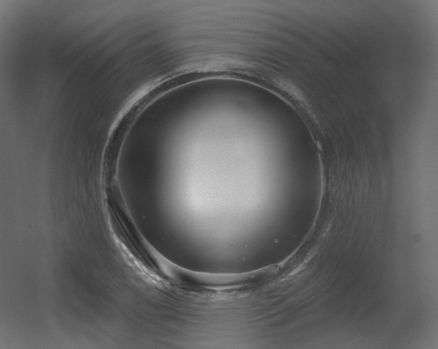 X0000056311122200509021530