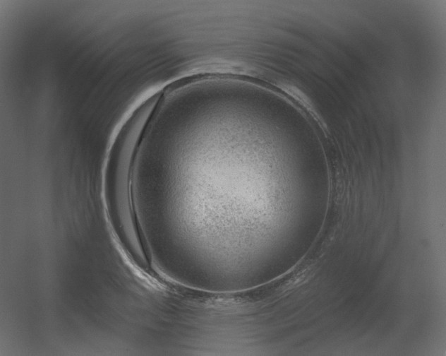 X0000056311128200509021530