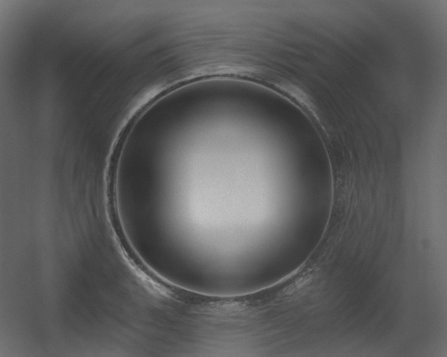 X0000056311135200509021530