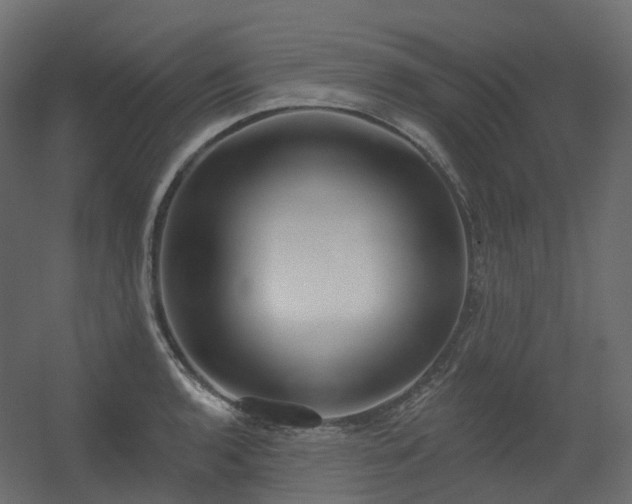 X0000056311136200509021530