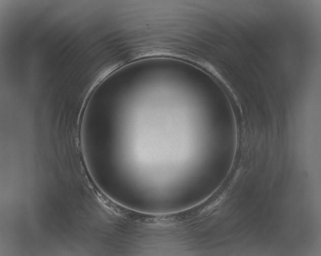 X0000056311145200509021530