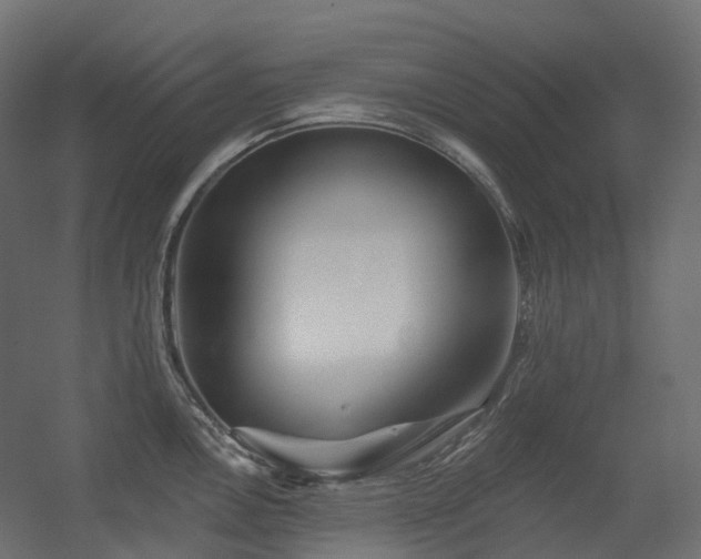 X0000056311146200509021530