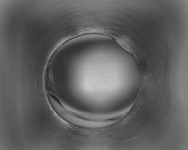 X0000056311151200509021530
