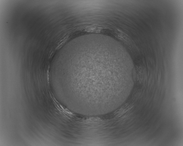 X0000056311154200509021529