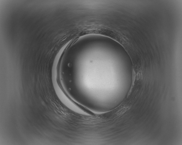 X0000056311156200509021529