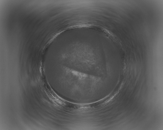 X0000056311161200509021529