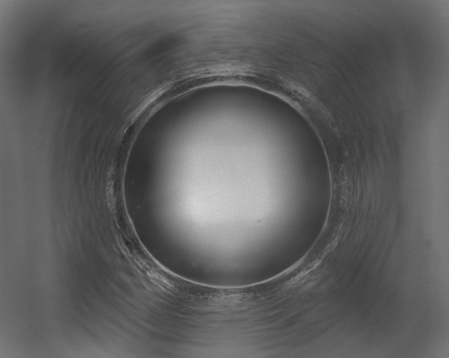 X0000056311162200509021529