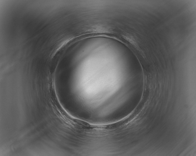 X0000056311163200509021529
