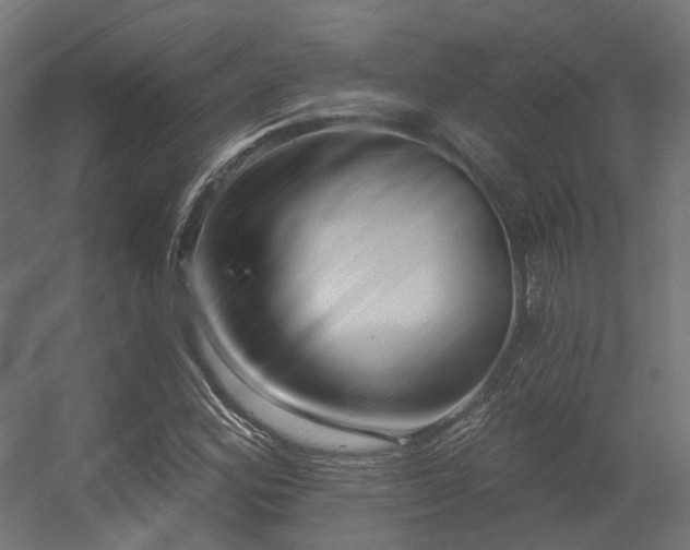 X0000056311164200509021529