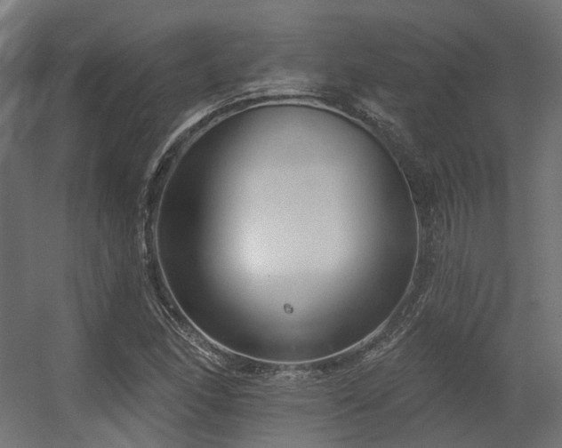 X0000056311166200509021529