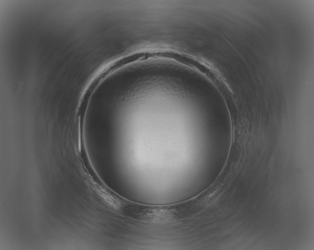 X0000056311175200509021529