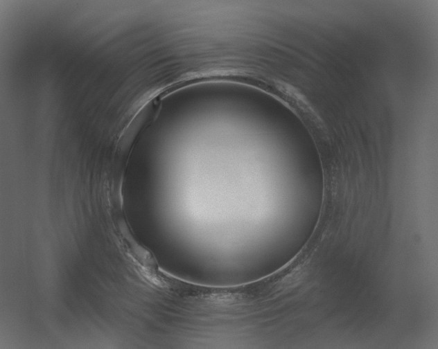X0000056311177200509021529