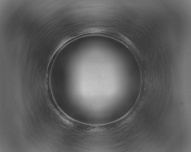 X0000056311178200509021529