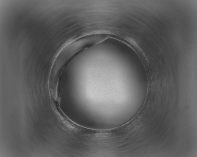 X0000056311181200509021529