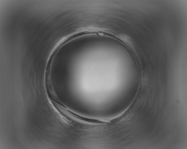 X0000056311183200509021529
