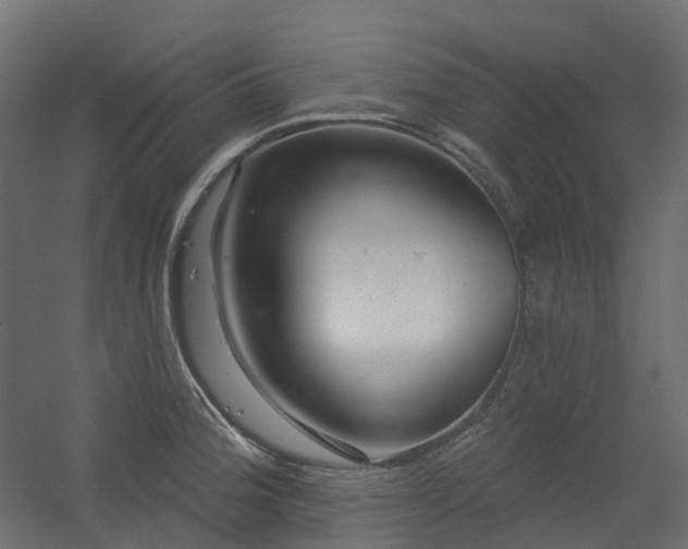X0000056311188200509021529