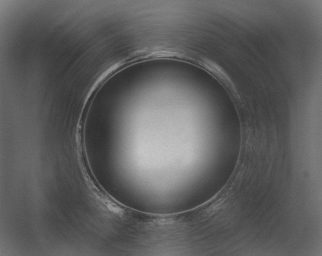 X0000056311190200509021529