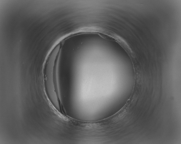 X0000056311192200509021529
