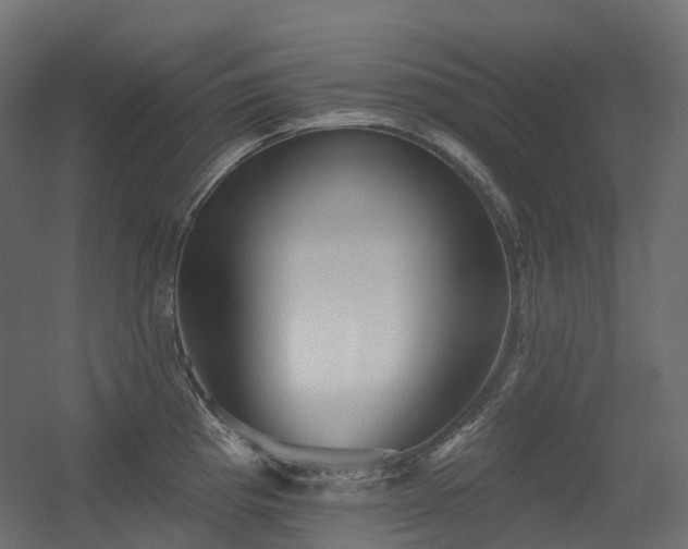 X0000056311193200509021529