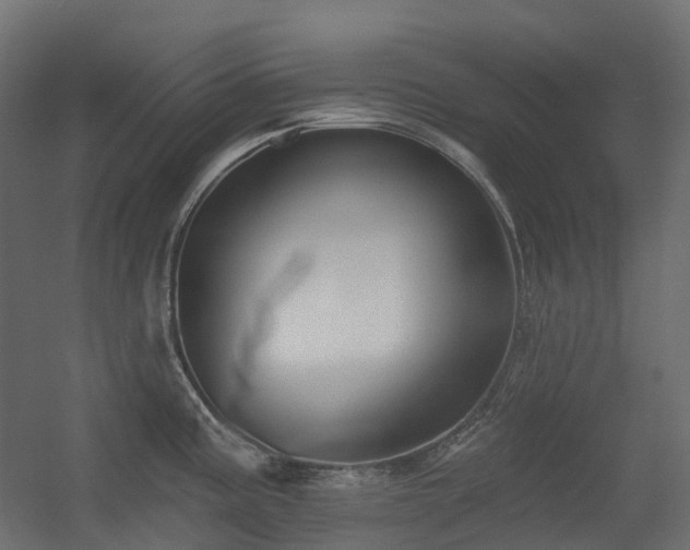 X0000056311195200509021529