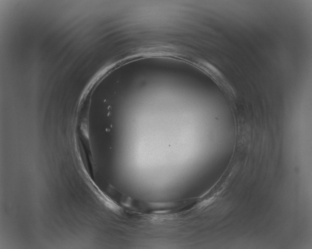 X0000056311196200509021529