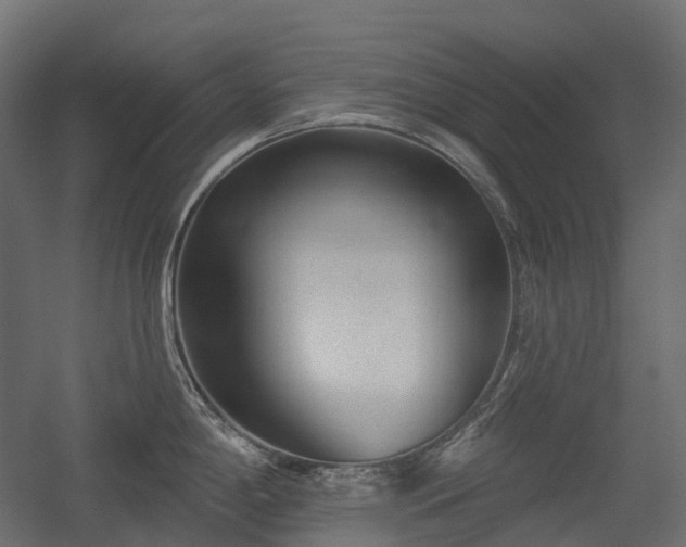 X0000056311198200509021529